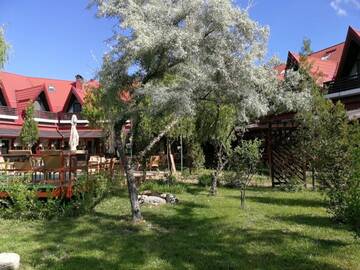 Фотографии Гостевой дом Pensiunea Casa Matei г. Berca (Румыния) №2 Фото Гостевой дом Pensiunea Casa Matei г. Berca 2